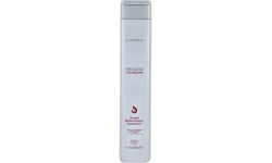 Lanza Healing ColorCare Silver Shampoo 300ml